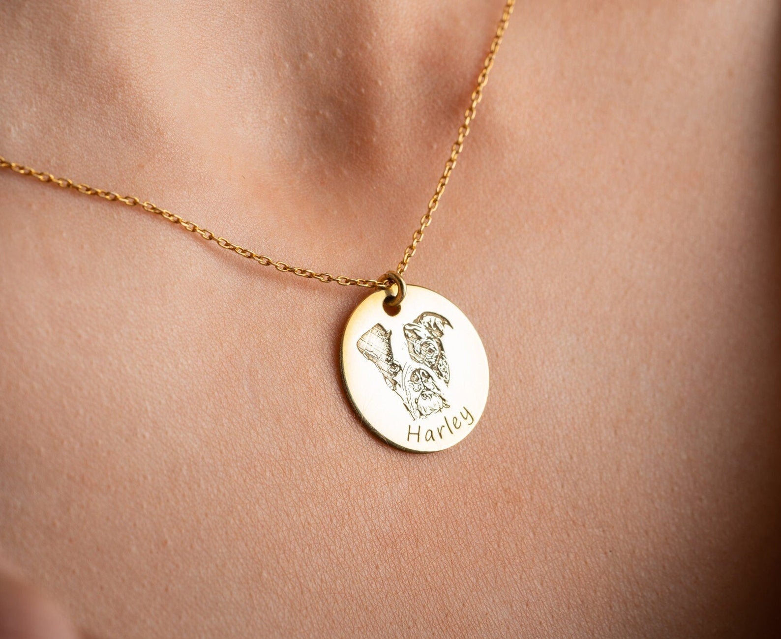 Collier personnalisé pour animaux de compagnie